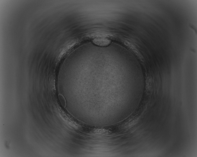 X0000101420399200807141159