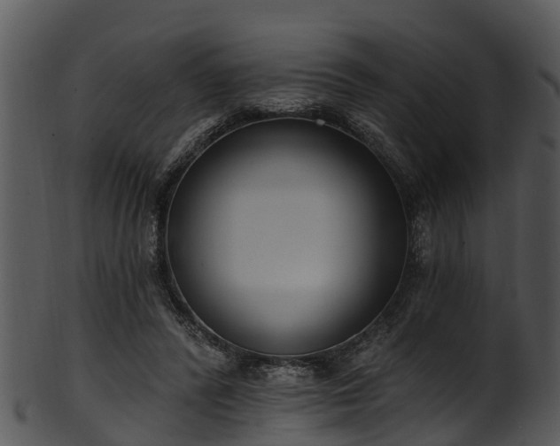 X0000101420400200807141159