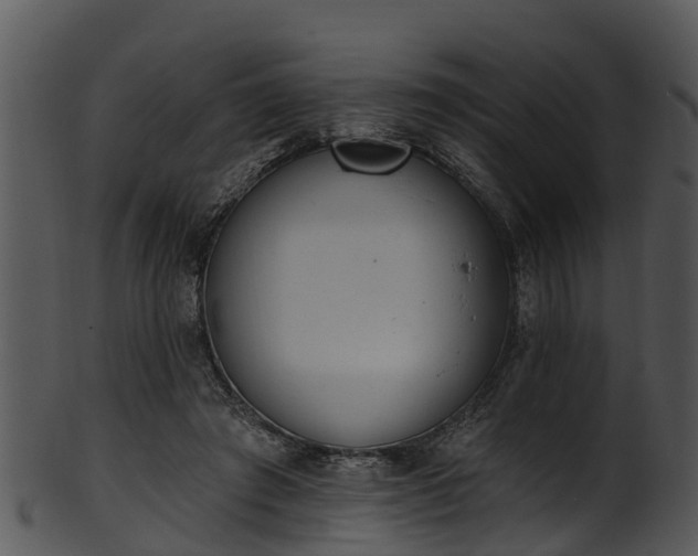 X0000101420401200807141159