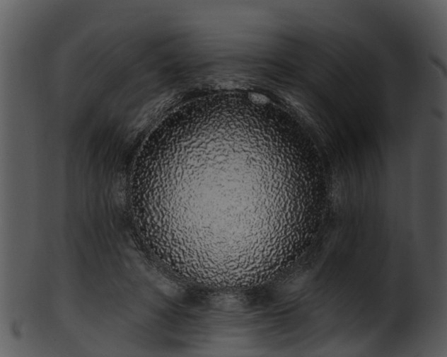 X0000101420402200807141159