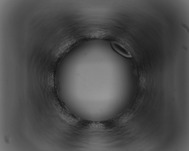 X0000101420403200807141159