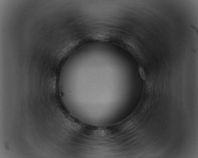 X0000101420404200807141159