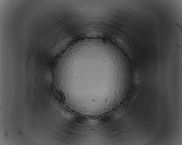 X0000101420405200807141159