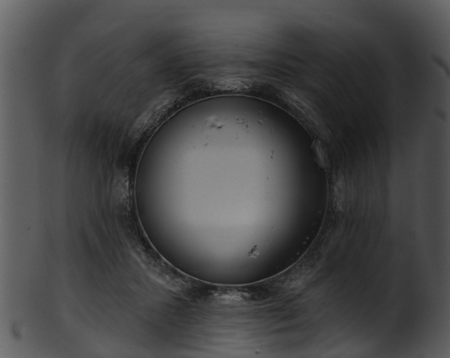 X0000101420407200807141159