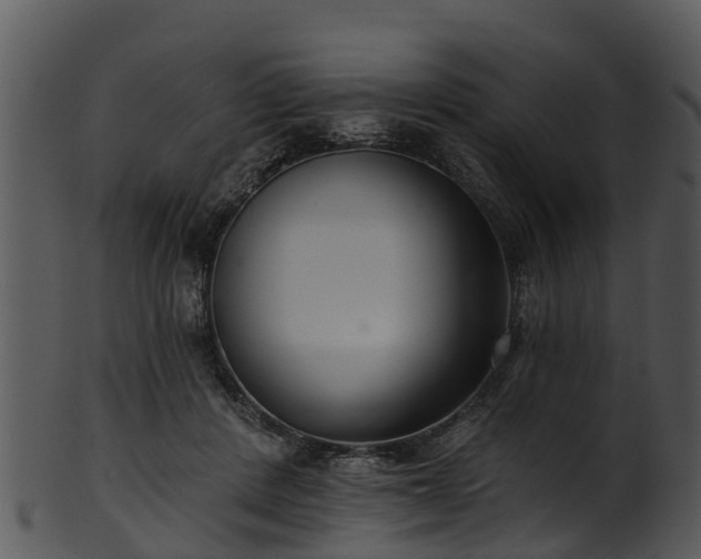 X0000101420408200807141159
