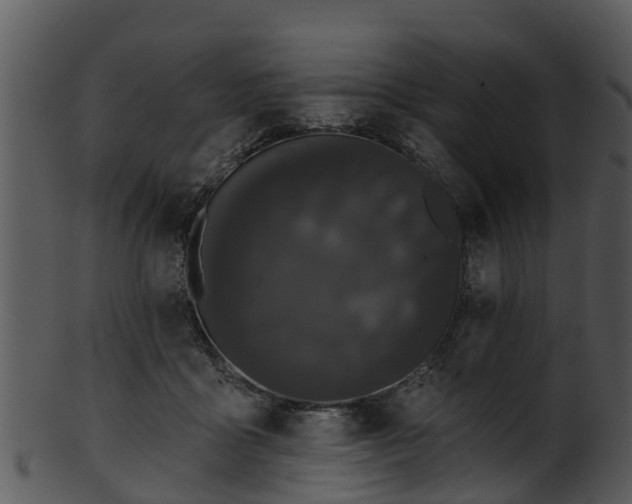 X0000101420411200807141159