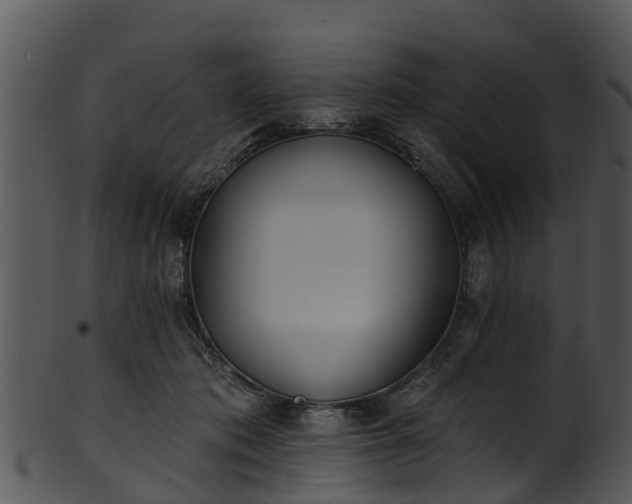 X0000101420413200807141159