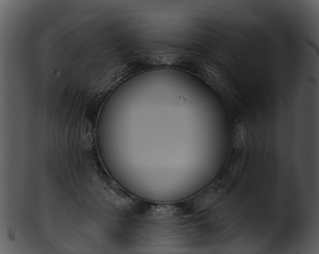 X0000101420414200807141159