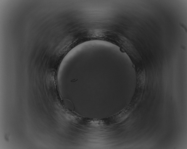 X0000101420415200807141159
