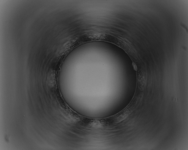 X0000101420416200807141159