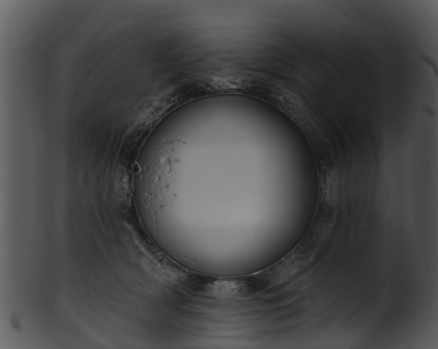X0000101420418200807141159