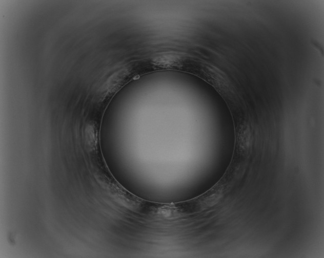 X0000101420420200807141159