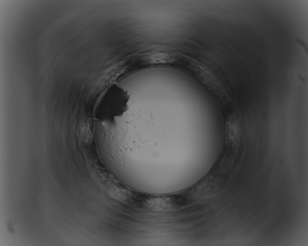 X0000101420422200807141159