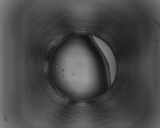 X0000101420423200807141159
