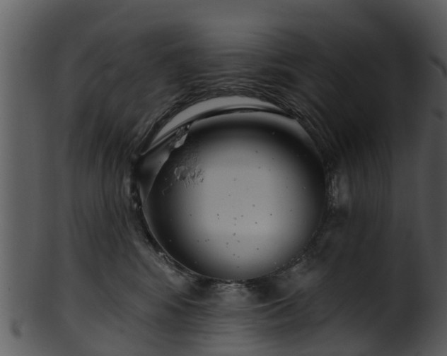 X0000101420424200807141159