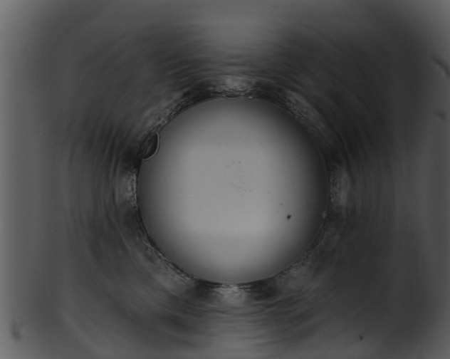 X0000101420425200807141159