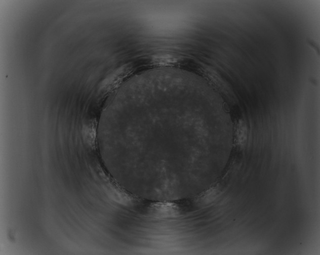 X0000101420427200807141159