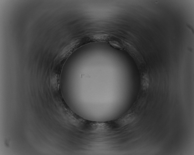 X0000101420428200807141158