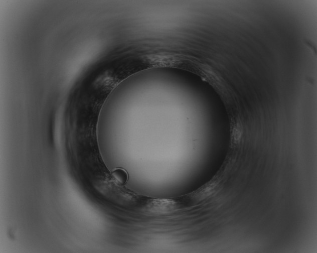 X0000101420429200807141158