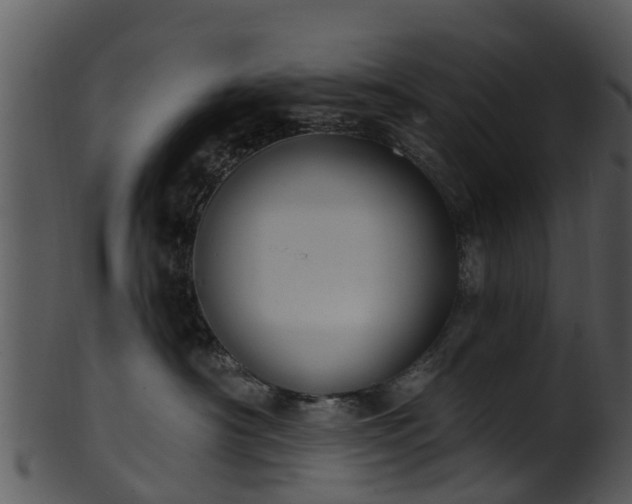 X0000101420430200807141158