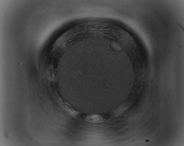 X0000101420431200807141158