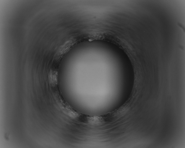 X0000101420432200807141158