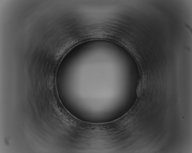 X0000101420434200807141158