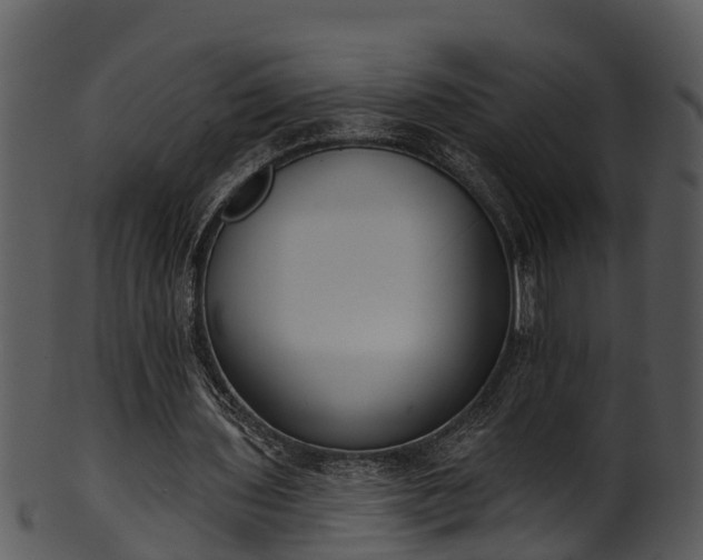 X0000101420435200807141158