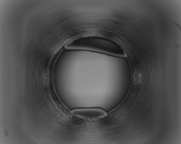 X0000101420436200807141158