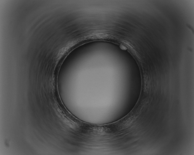 X0000101420439200807141158