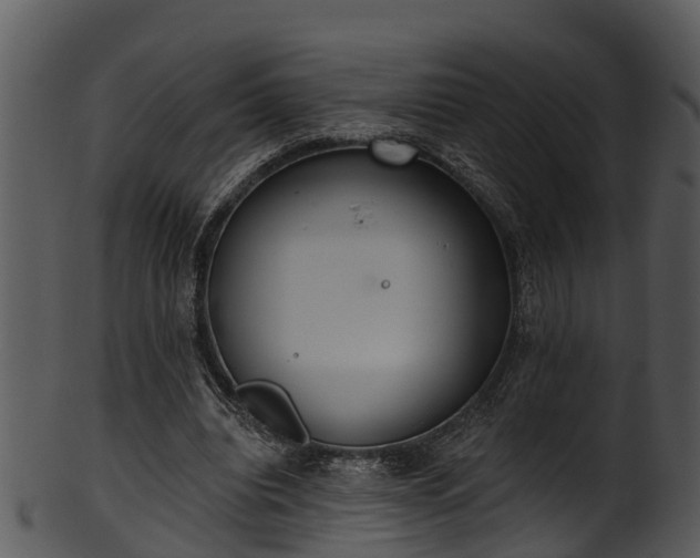 X0000101420440200807141158