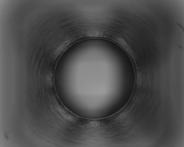 X0000101420441200807141158