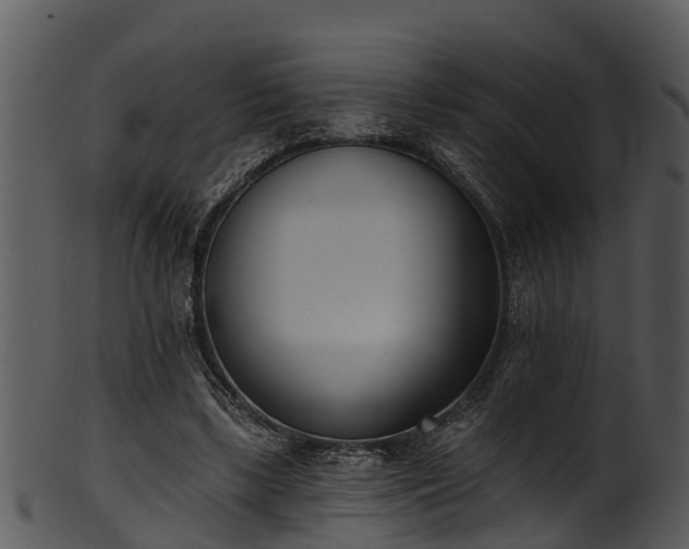 X0000101420443200807141158