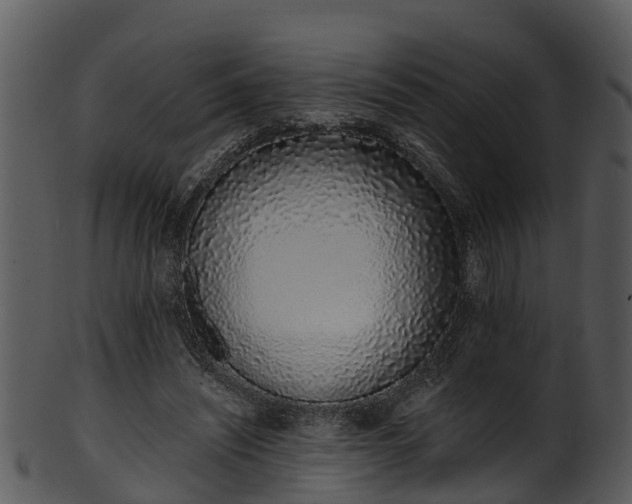 X0000101420444200807141158
