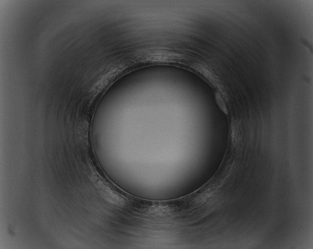 X0000101420445200807141158