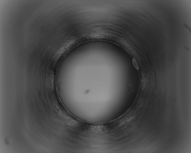 X0000101420446200807141158