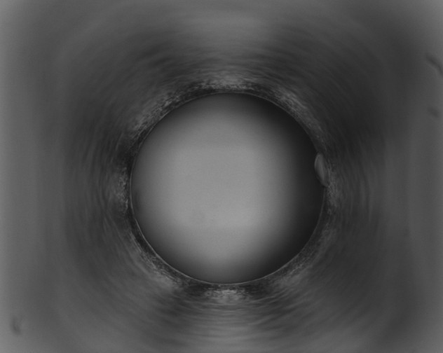 X0000101420449200807141158