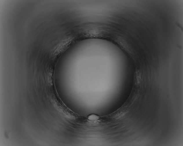 X0000101420450200807141158