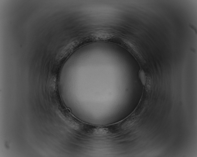 X0000101420451200807141158