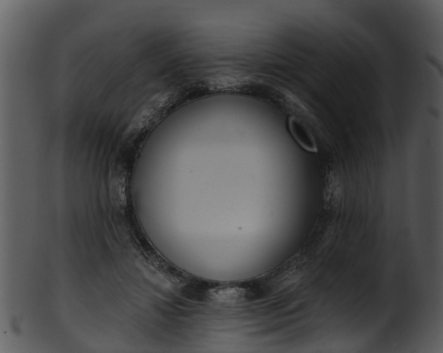 X0000101420452200807141158