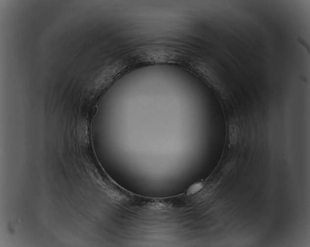 X0000101420453200807141158