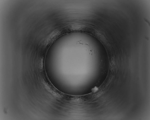 X0000101420454200807141158