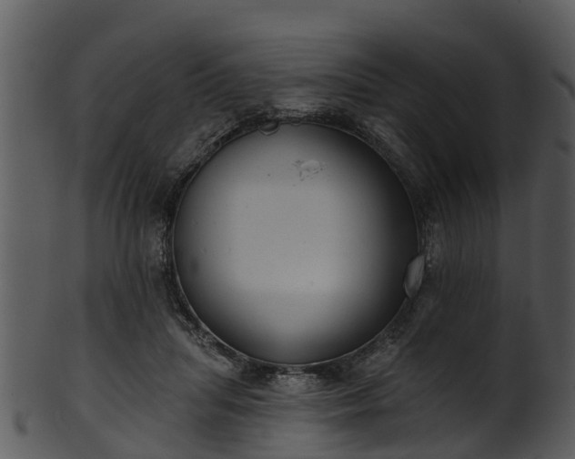 X0000101420455200807141158