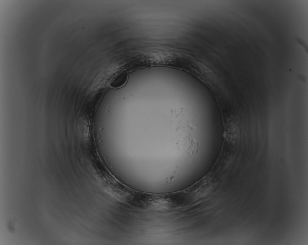 X0000101420456200807141158