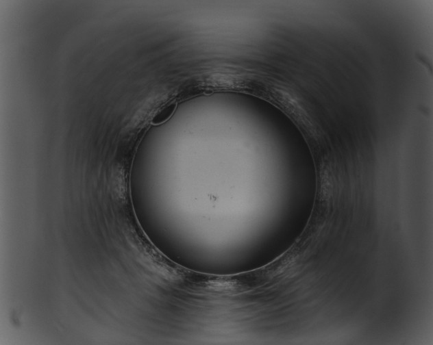 X0000101420457200807141158