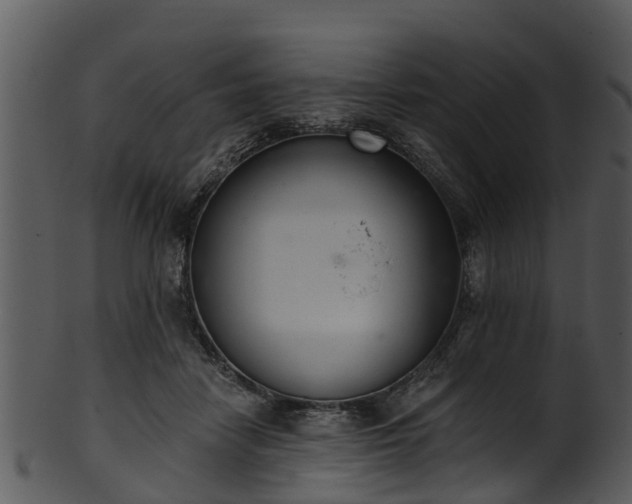 X0000101420458200807141158