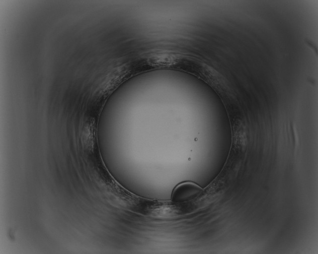 X0000101420460200807141158