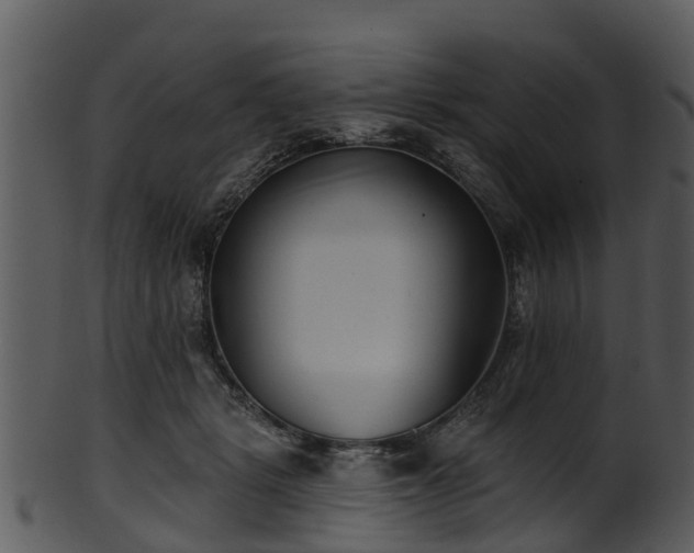 X0000101420461200807141158