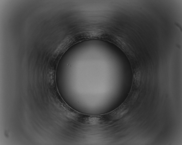 X0000101420462200807141158