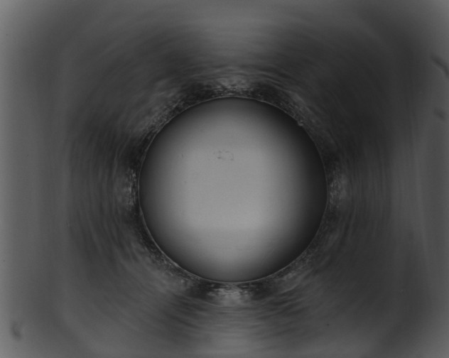 X0000101420464200807141158